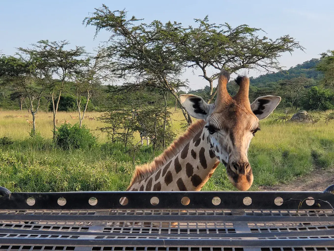 kidepo valley national park