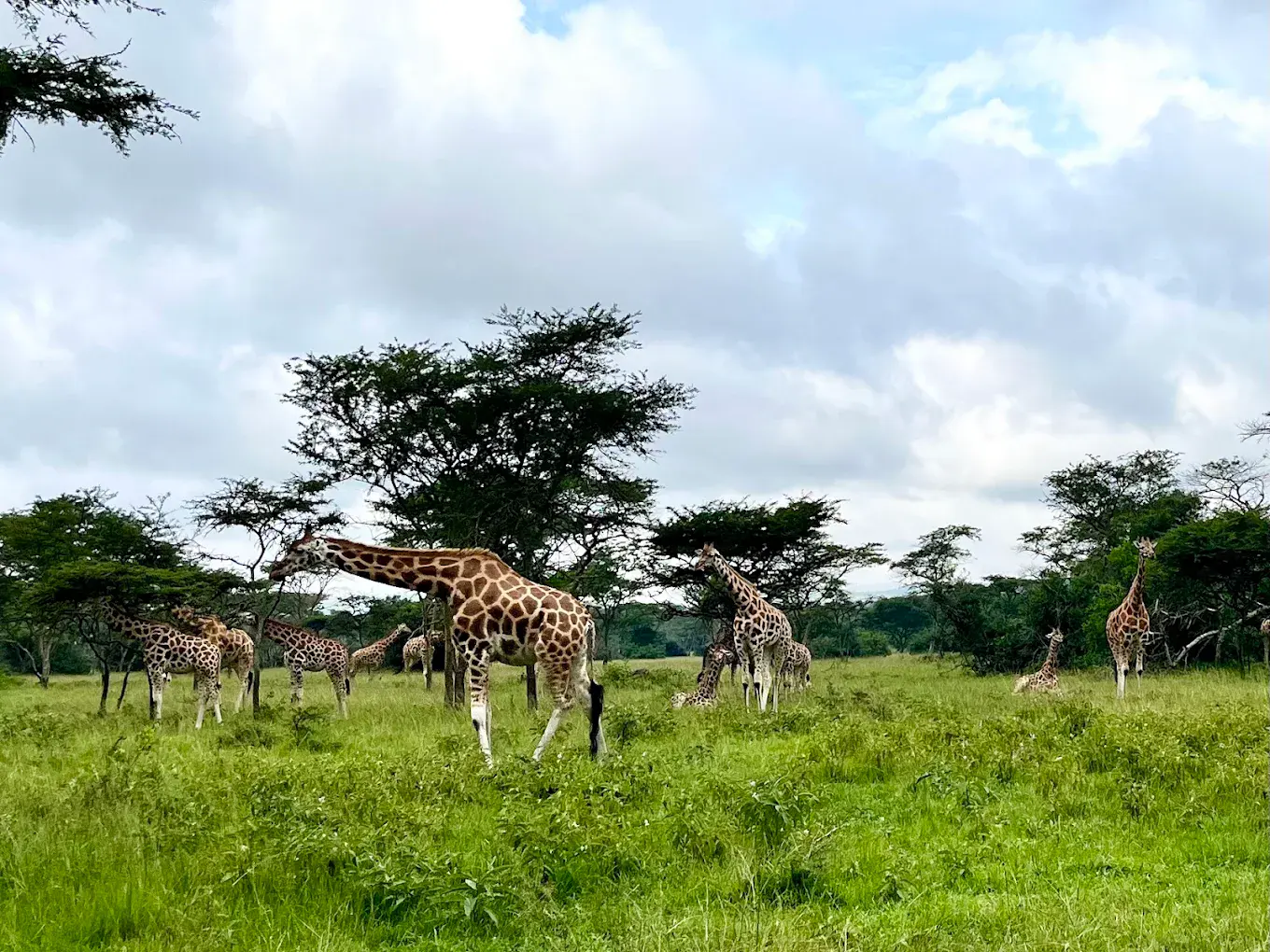 Lake Mburo