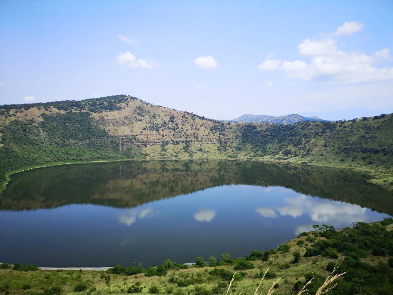 Best Activities in Queen Elizabeth Uganda