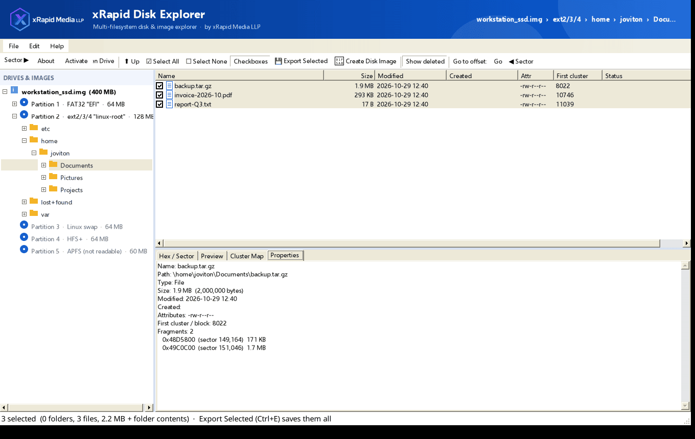 Tick several files and see full details (path, size, permissions, block fragments), then export them all in one click.