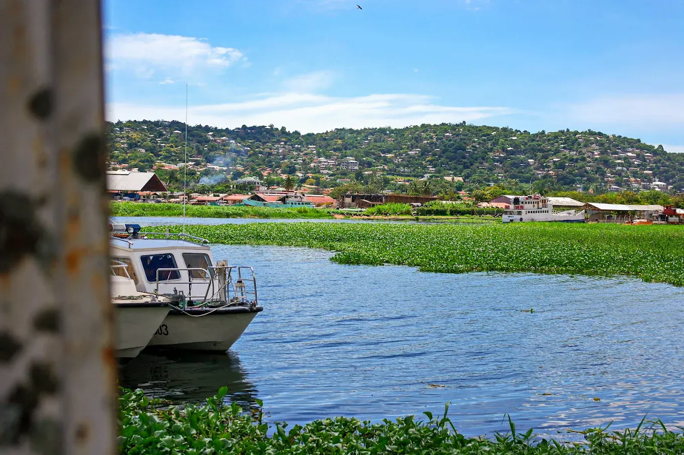 lake vic