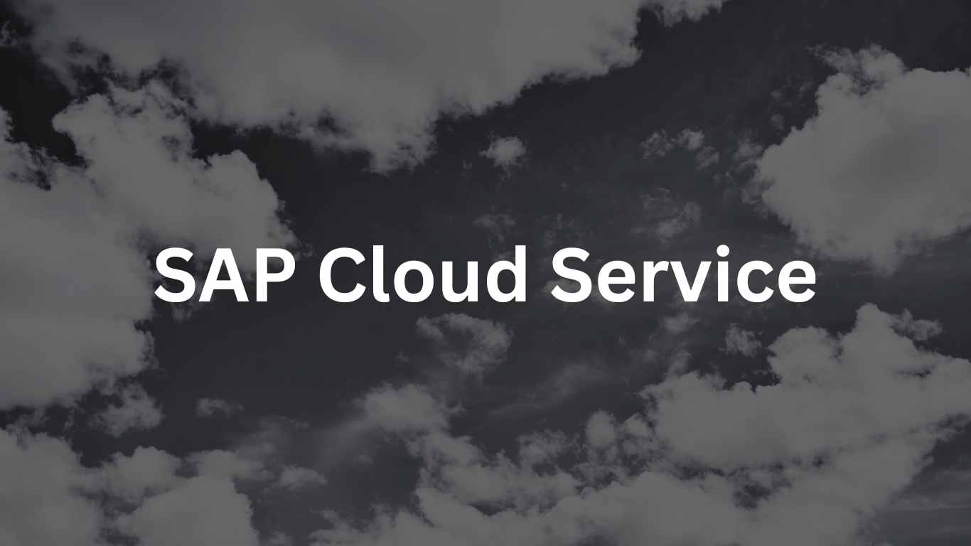 SAP Cloud Service SAP Cloud Service