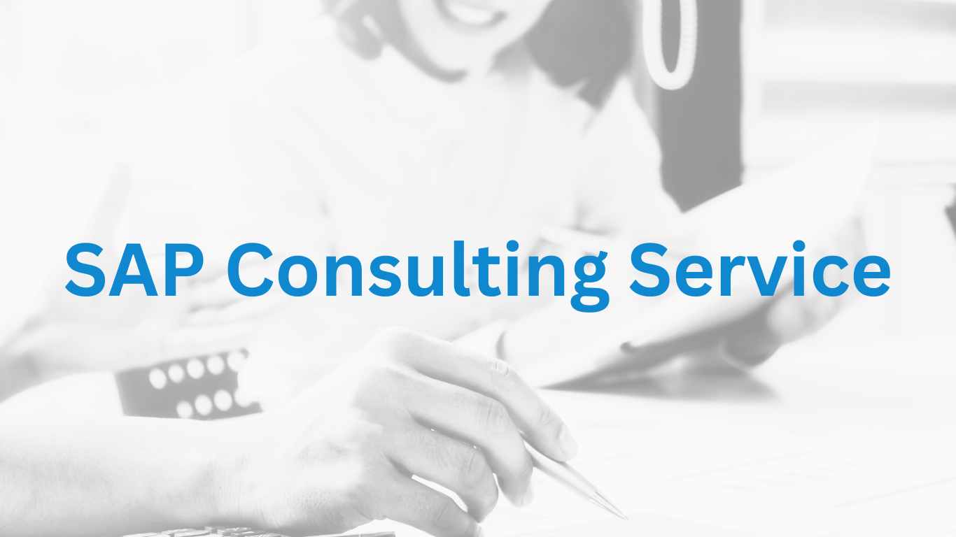 SAP Consulting Service (2) SAP Consulting Service (2)