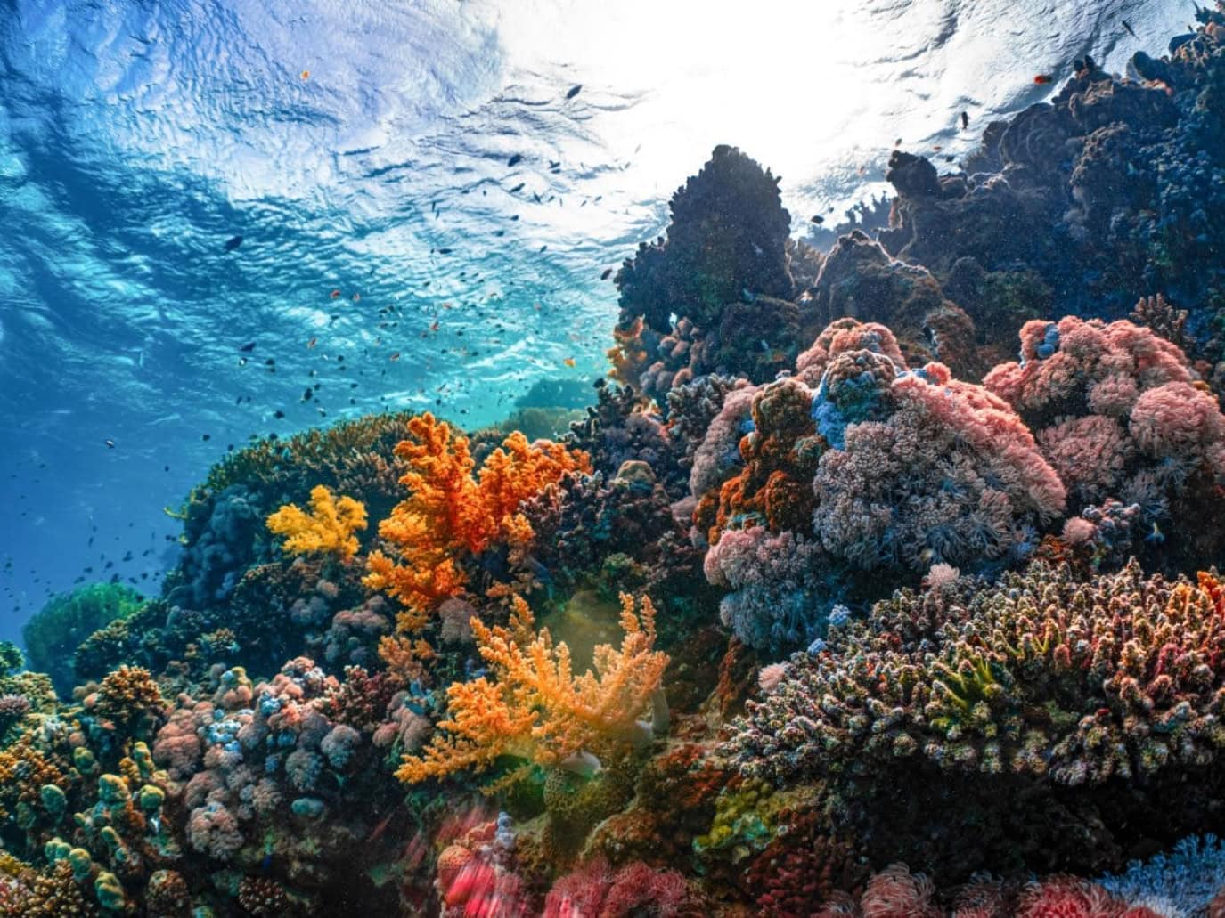 featured-image