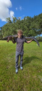 alligator hunting