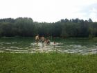 IMG-20160703-WA0054