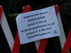 IMG_20160729_051631