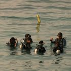 Pack multi-plongées & certifications — Dakar, Sénégal
