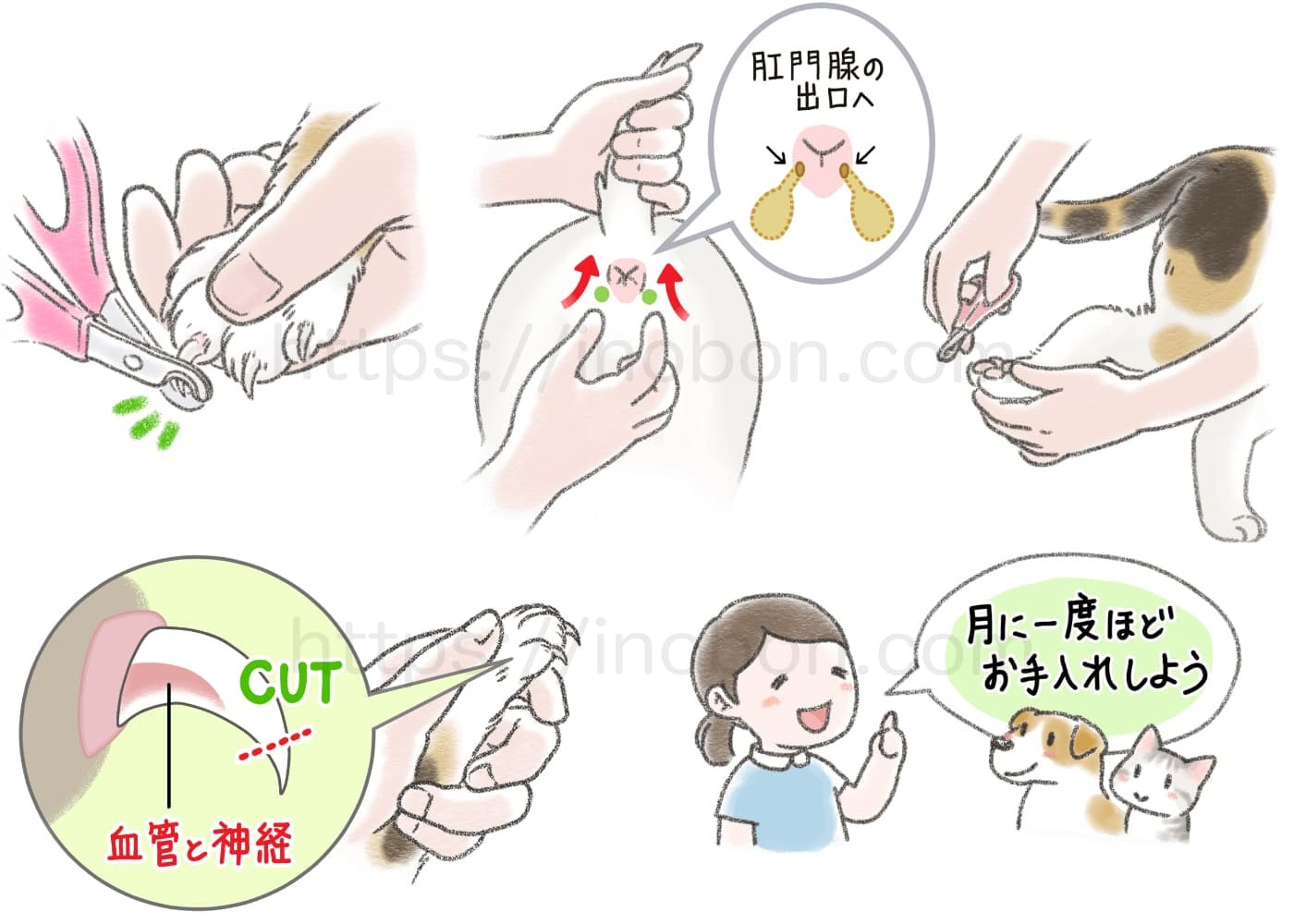 ペットの爪切りのお手入れ