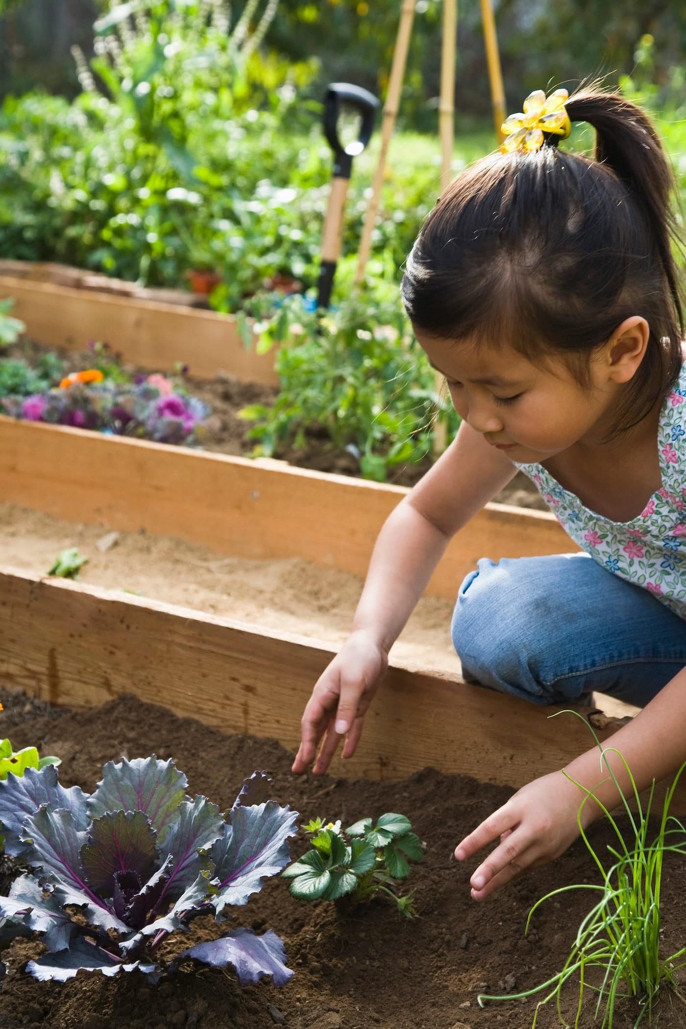 Kindvriendelijke tuin tips