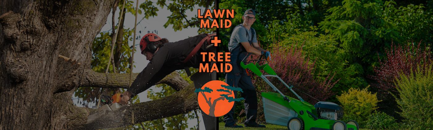 Landscaping, Garden, & Tree Care for Palm Beach County in Delray, Boca, Boynton, West Palm, and Wellington by Tree Maid & Lawn Maid