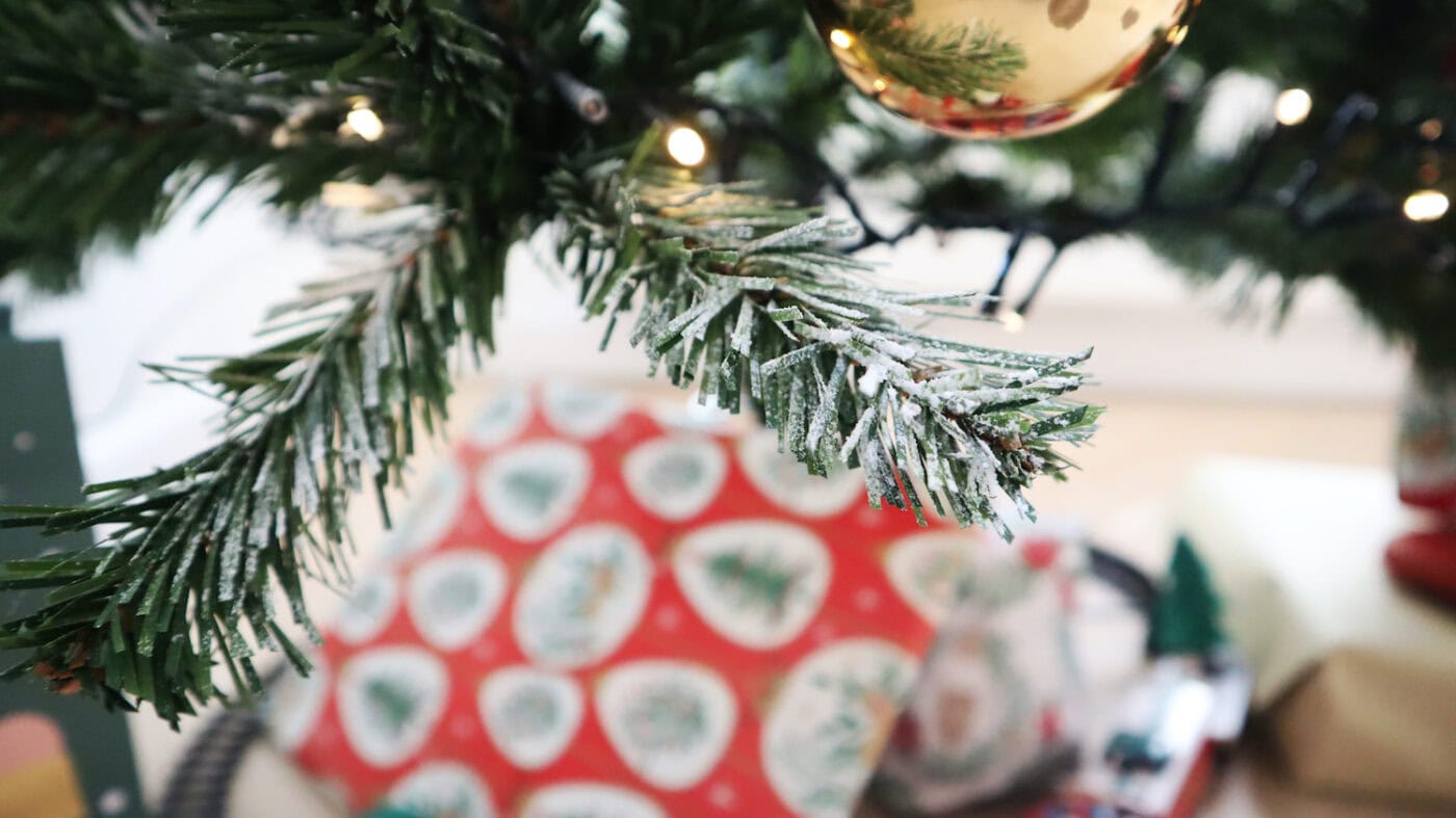 Xenos kerstboom 2020