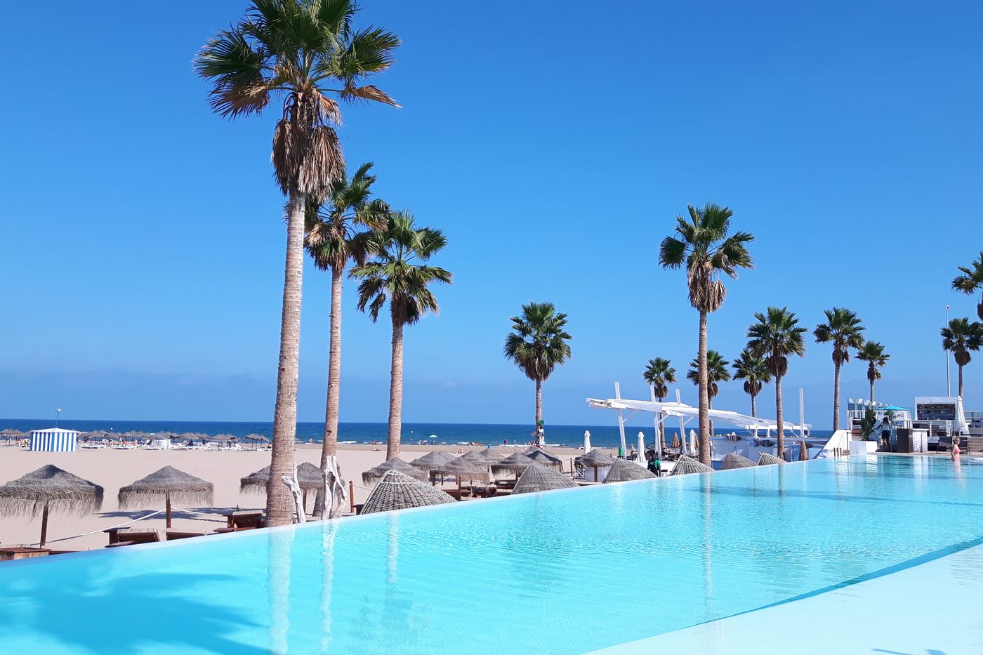 Palm trees, sand and the Mediterranean at Malvarrosa beach in Valencia