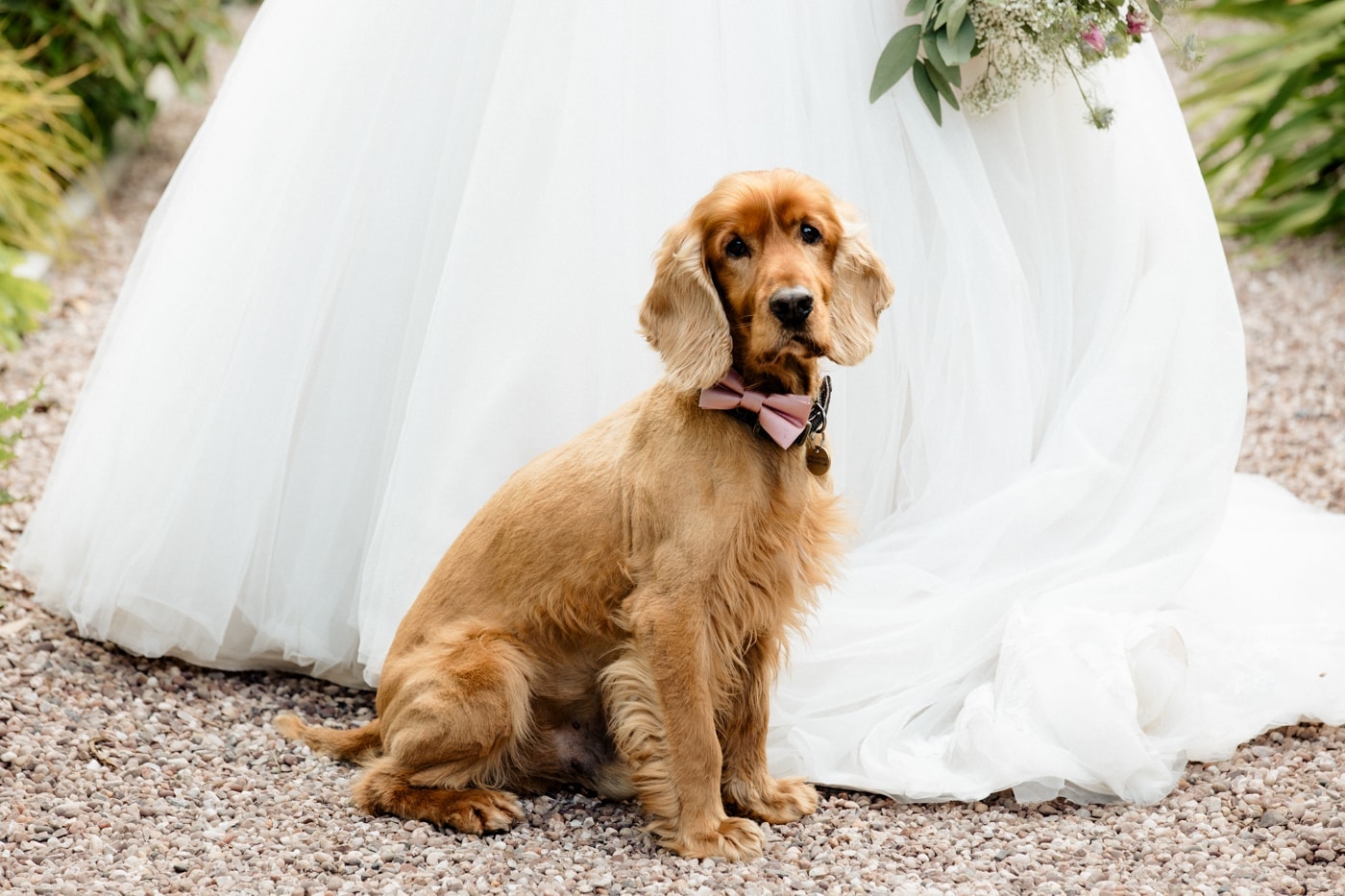 abbeywood estate cheshire bridal portraits in the gardens