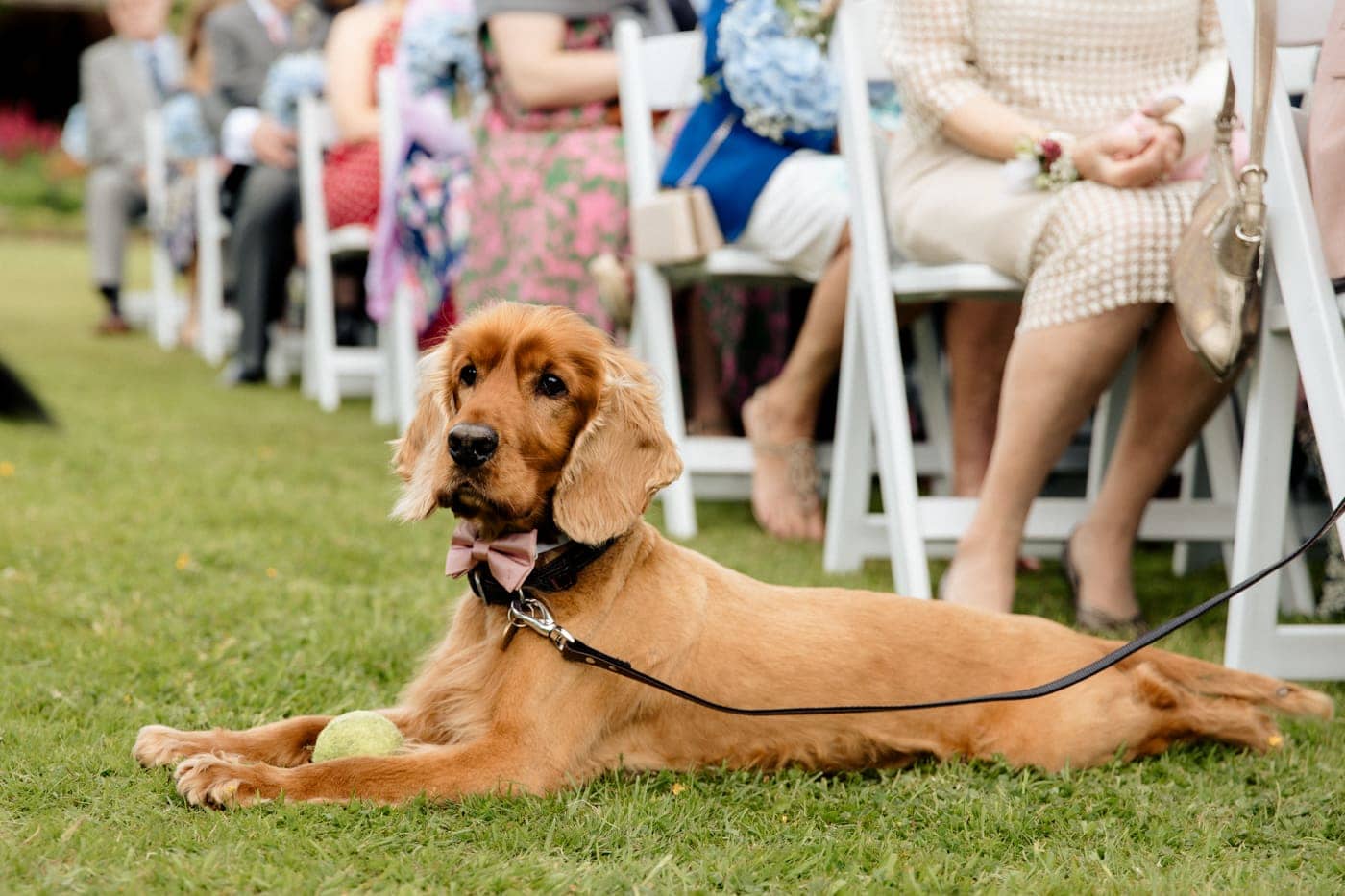 abbeywood estate outdoor wedding ceremony in cheshire
