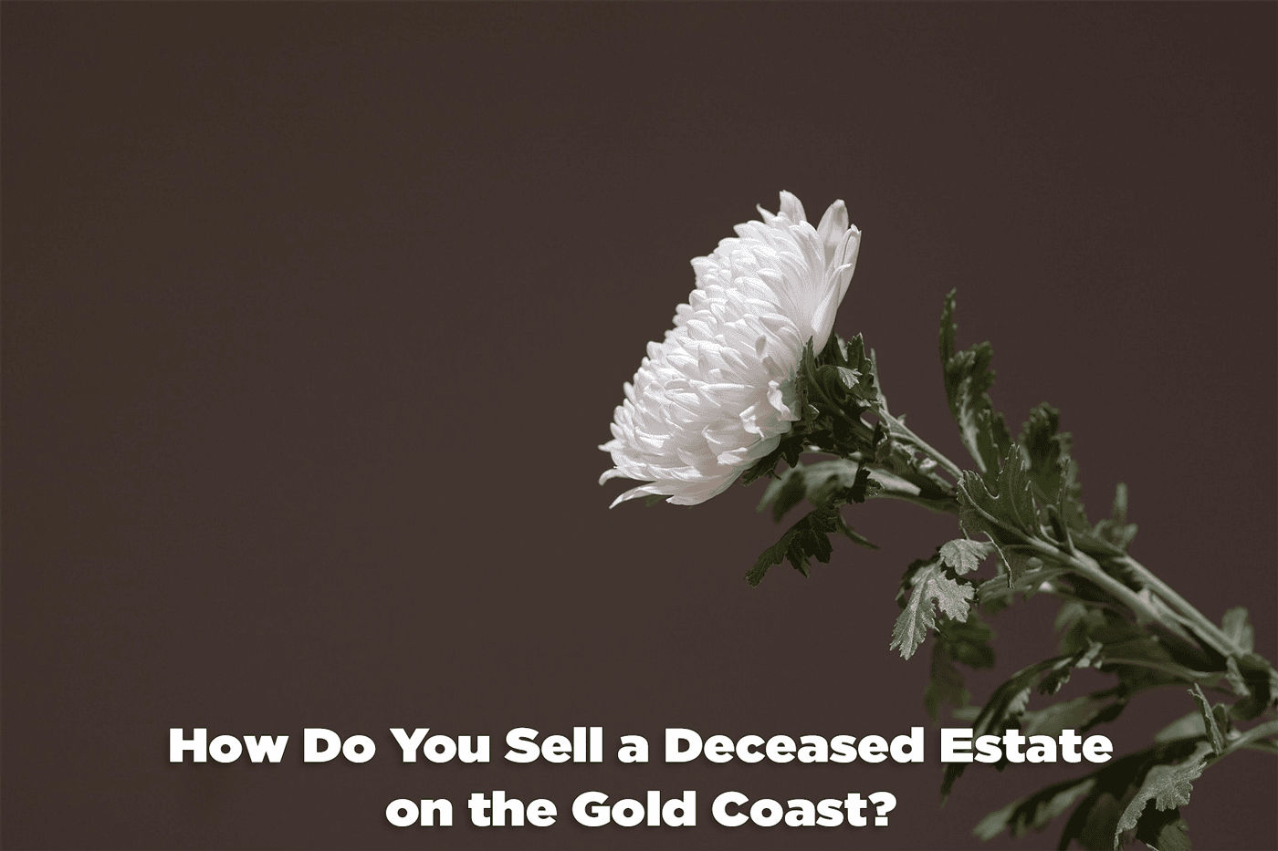 How Do You Sell a Deceased Estate on the Gold Coast - Craig Douglas 0418 189 963