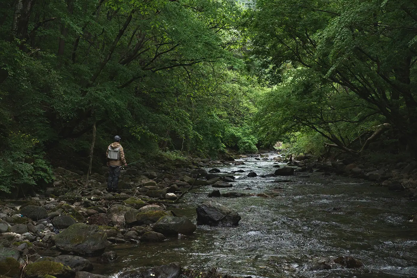 An angler stands on the rocky bank of a shallow, dark forest stream covered by a dense canopy of large green trees.