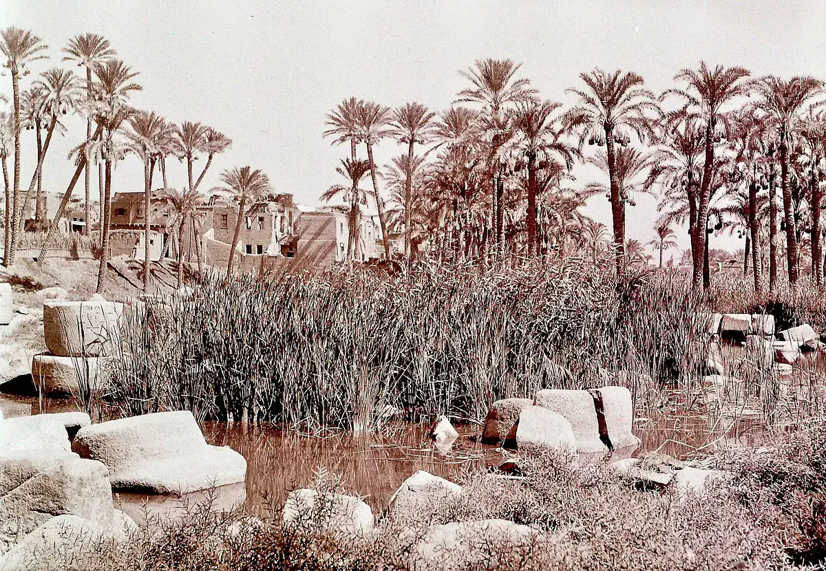 Ruins of the Ptah temple precinct at Mit Rahina