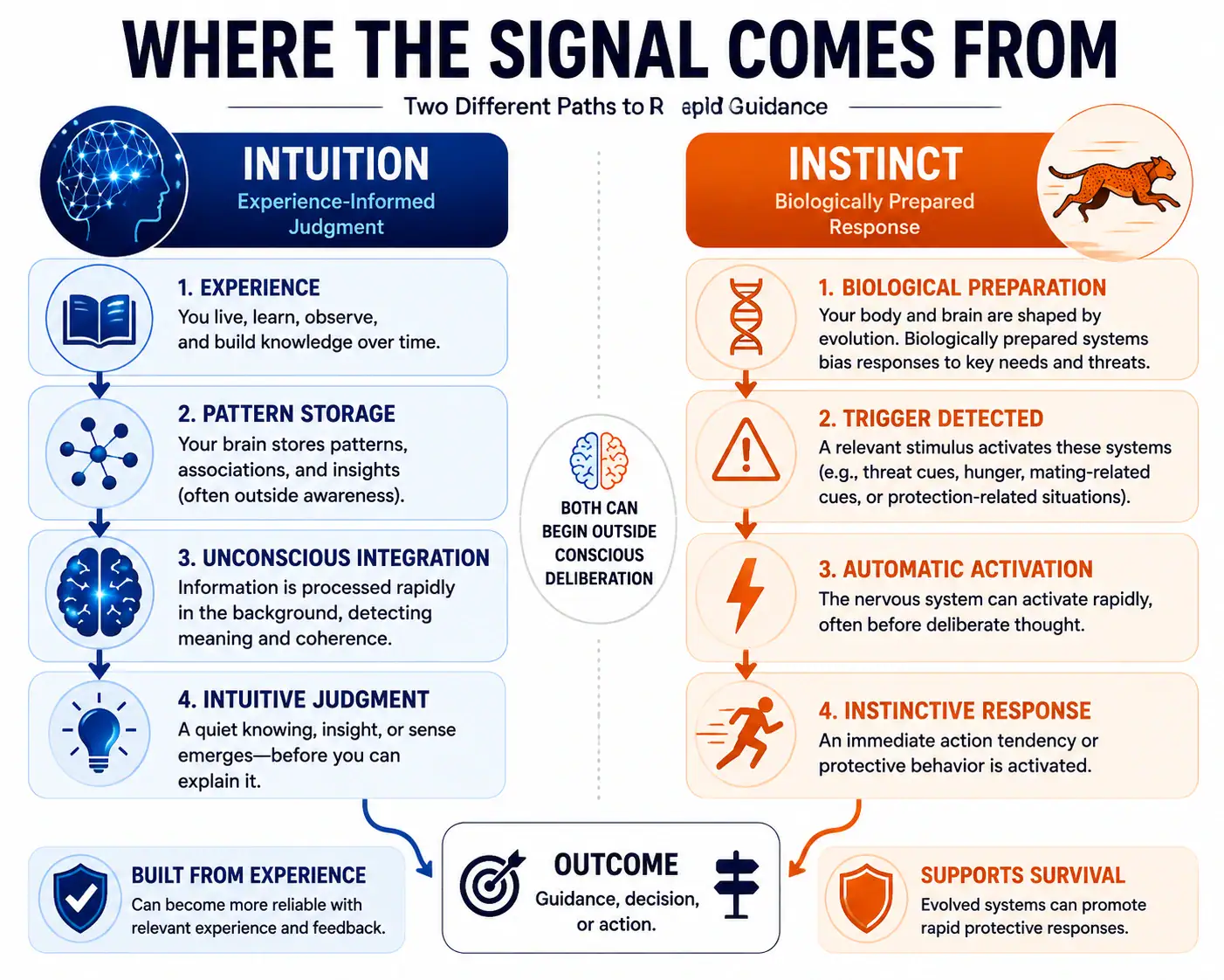 Where intuition and instinct signals come from showing experience-informed judgment and biologically prepared response pathways
