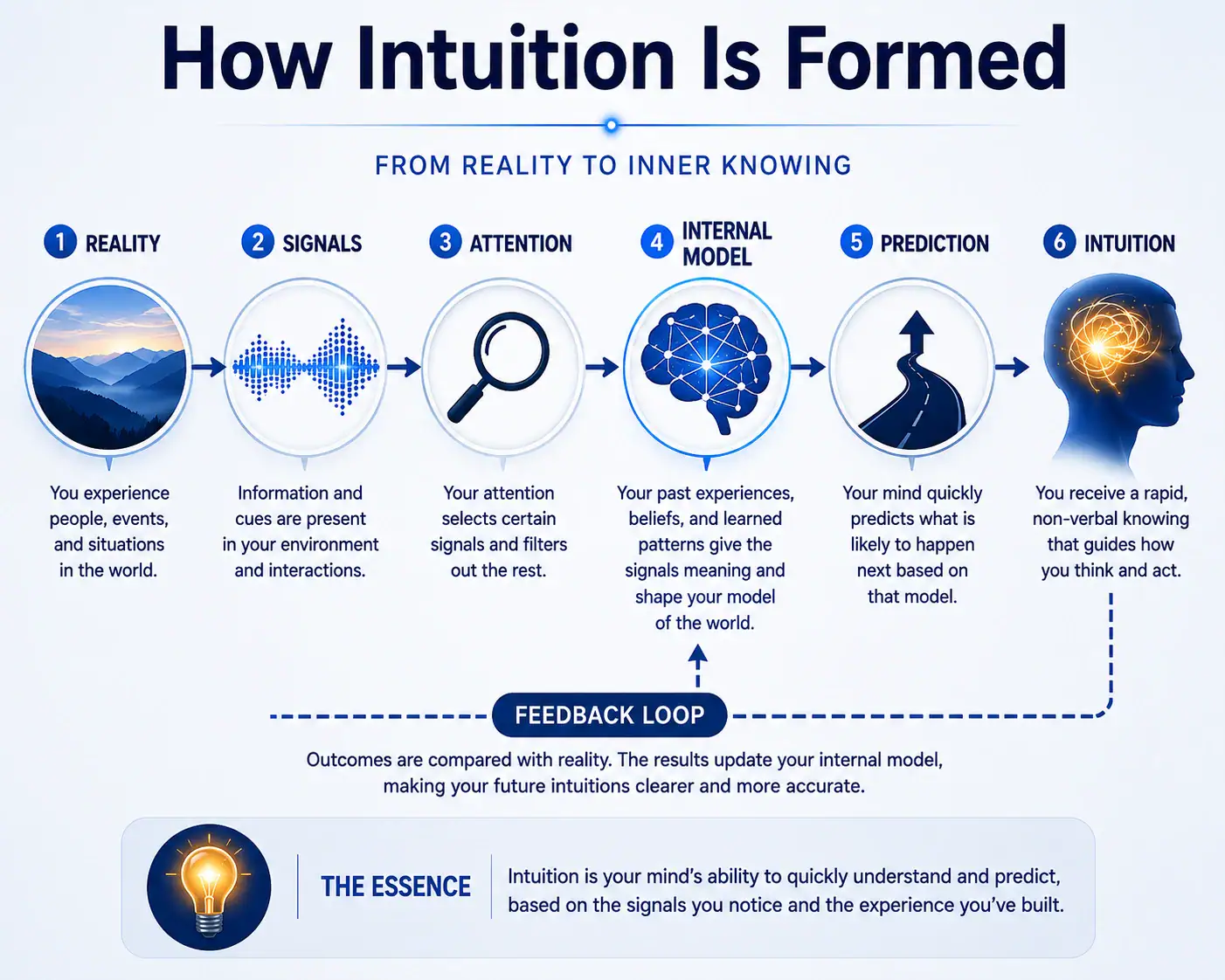 How intuition is formed from reality, signals, attention, an internal model, prediction, intuition, and feedback.
