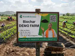 Demo Farm