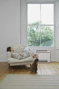 ductless services