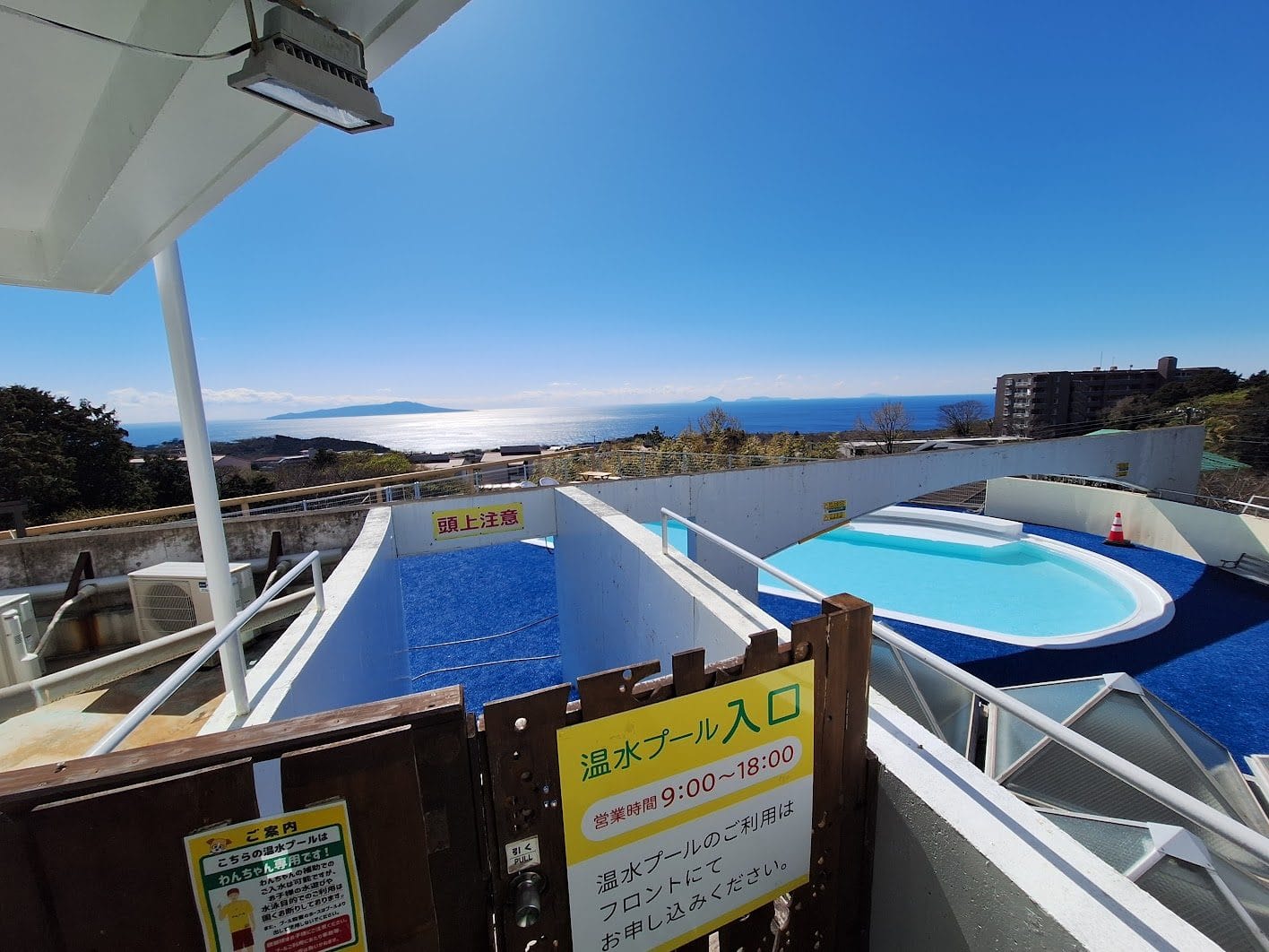 わんこじかん | 愛犬と自由気ままに過ごす旅　伊豆高原わんわんパラダイス・コンドミニアム（1日目）