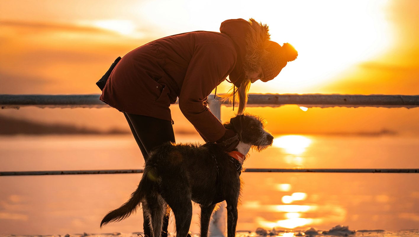 5 Gentle Ways to Ease Into Early Winter in Canada