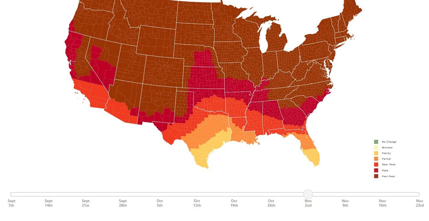 The image appears to be a map of the United States showing the fall foliage peak times across differ.