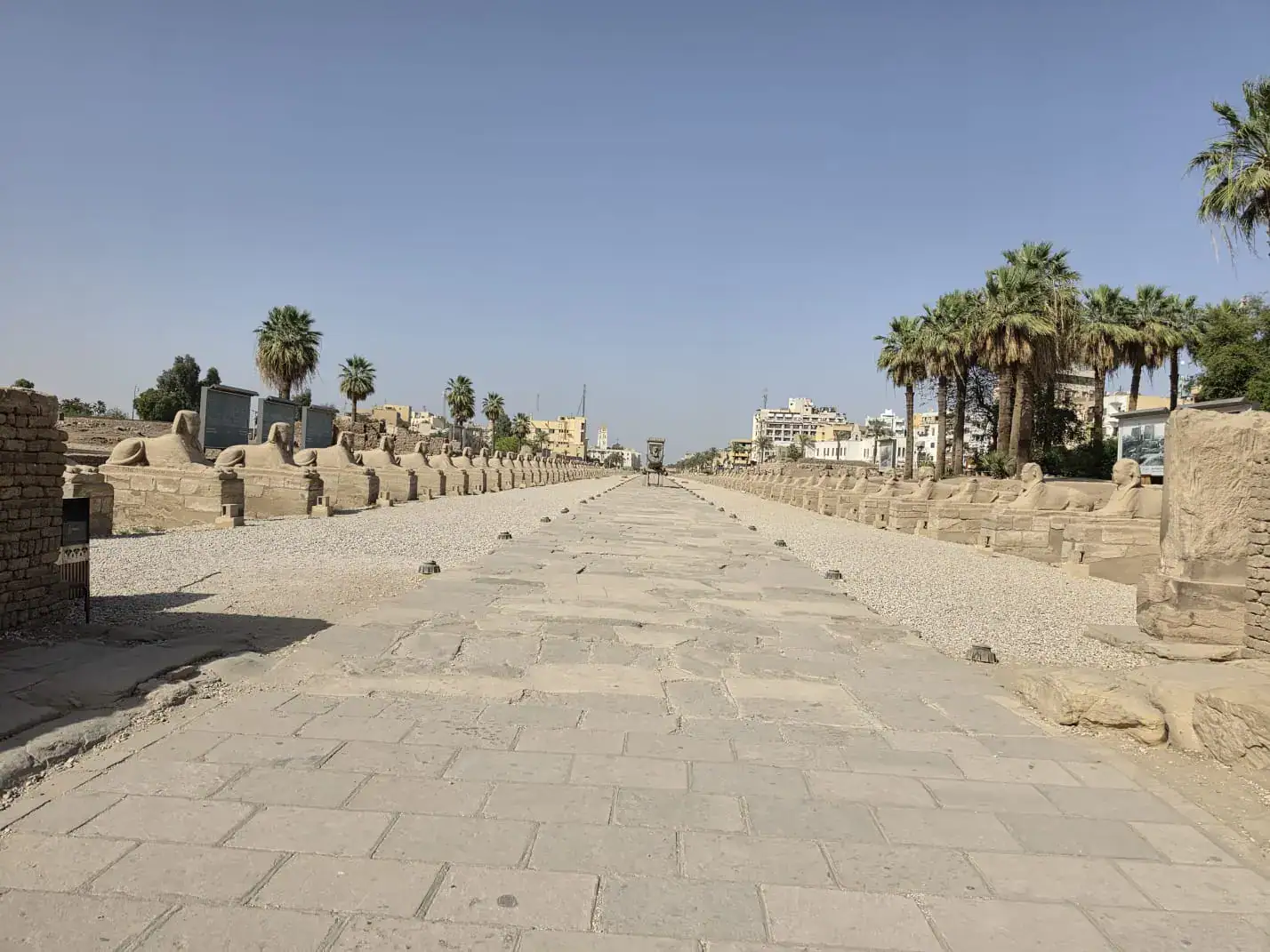 Wide view along the restored Avenue of Sphinxes