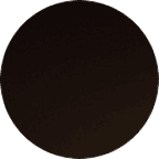 A solid black circle is centered on a plain white background.