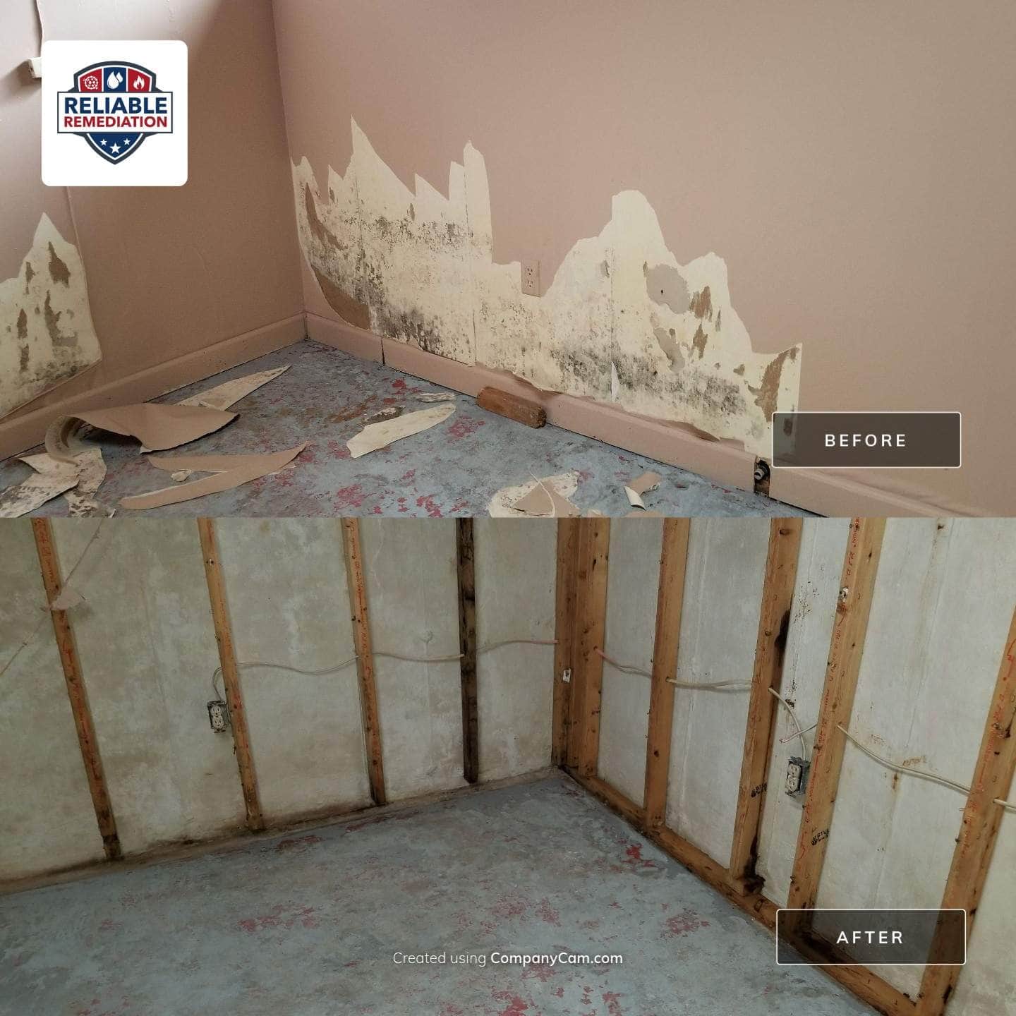Mold Devastates family before and after