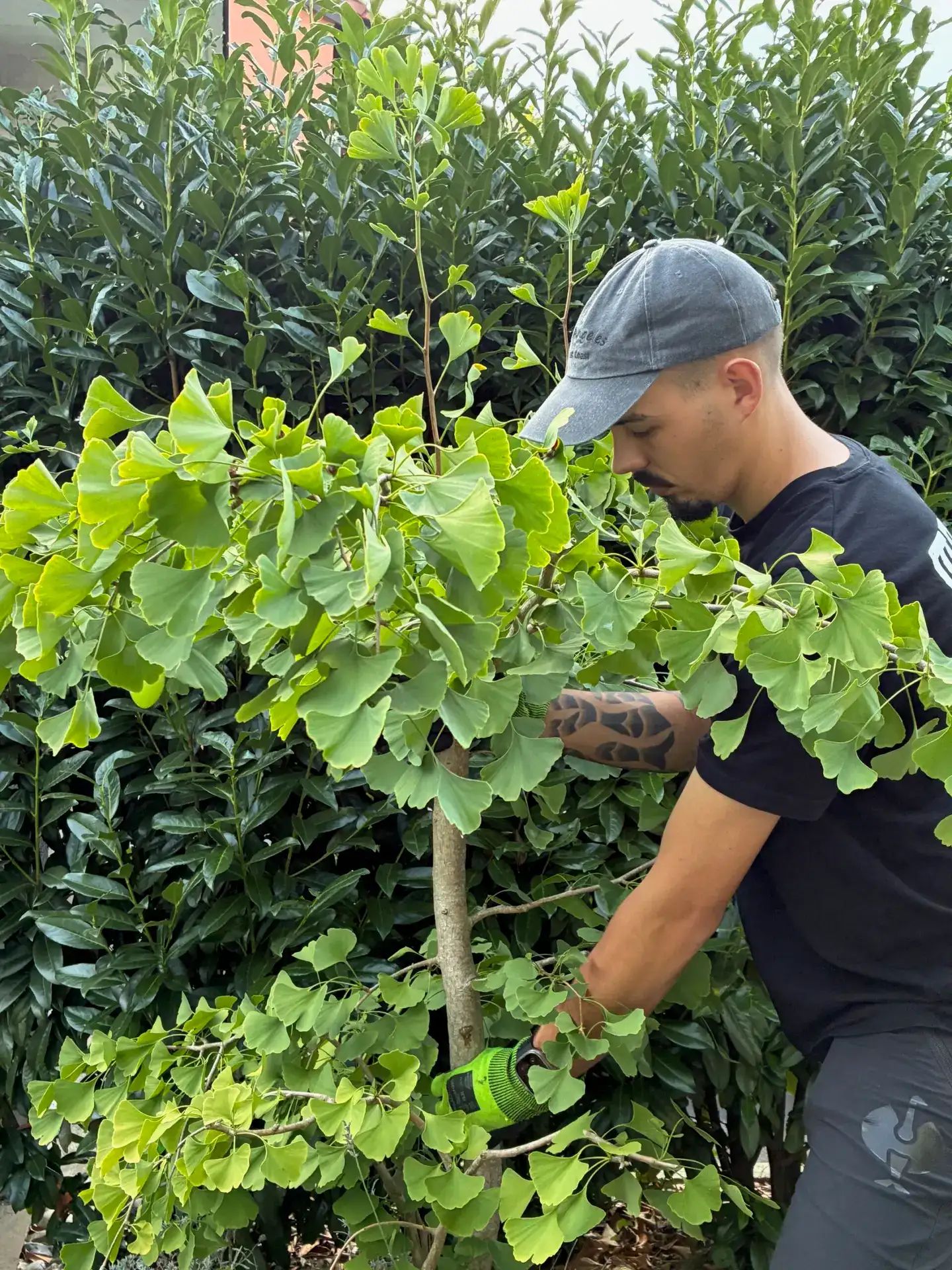 Gartengestalter Augsburg – Gartenbau & Pflege | Bucher & Späth