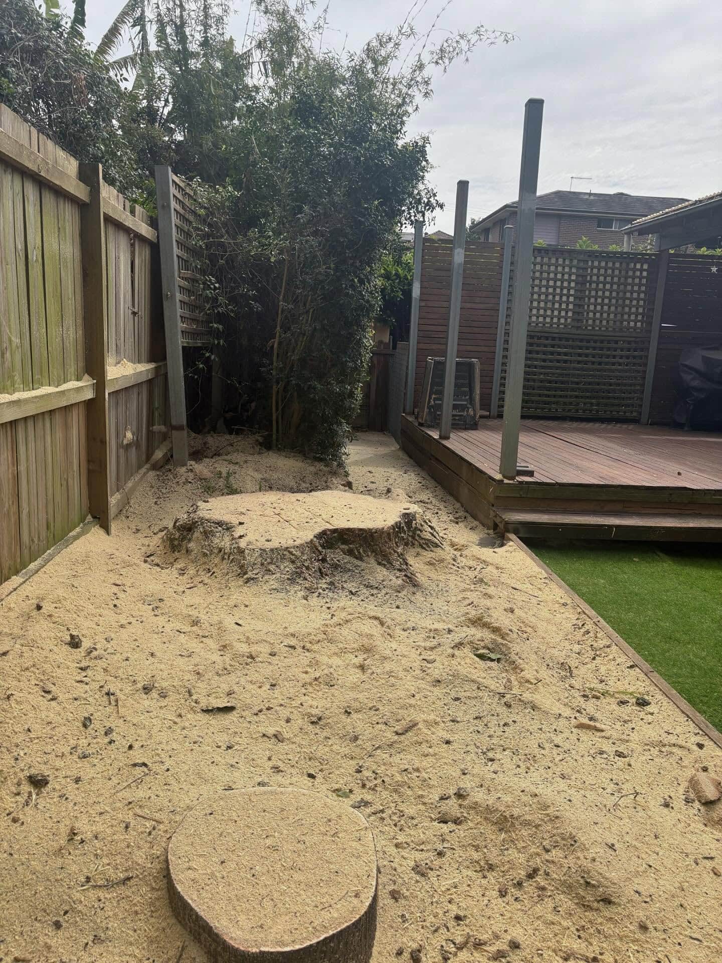 Large Tree Removal
