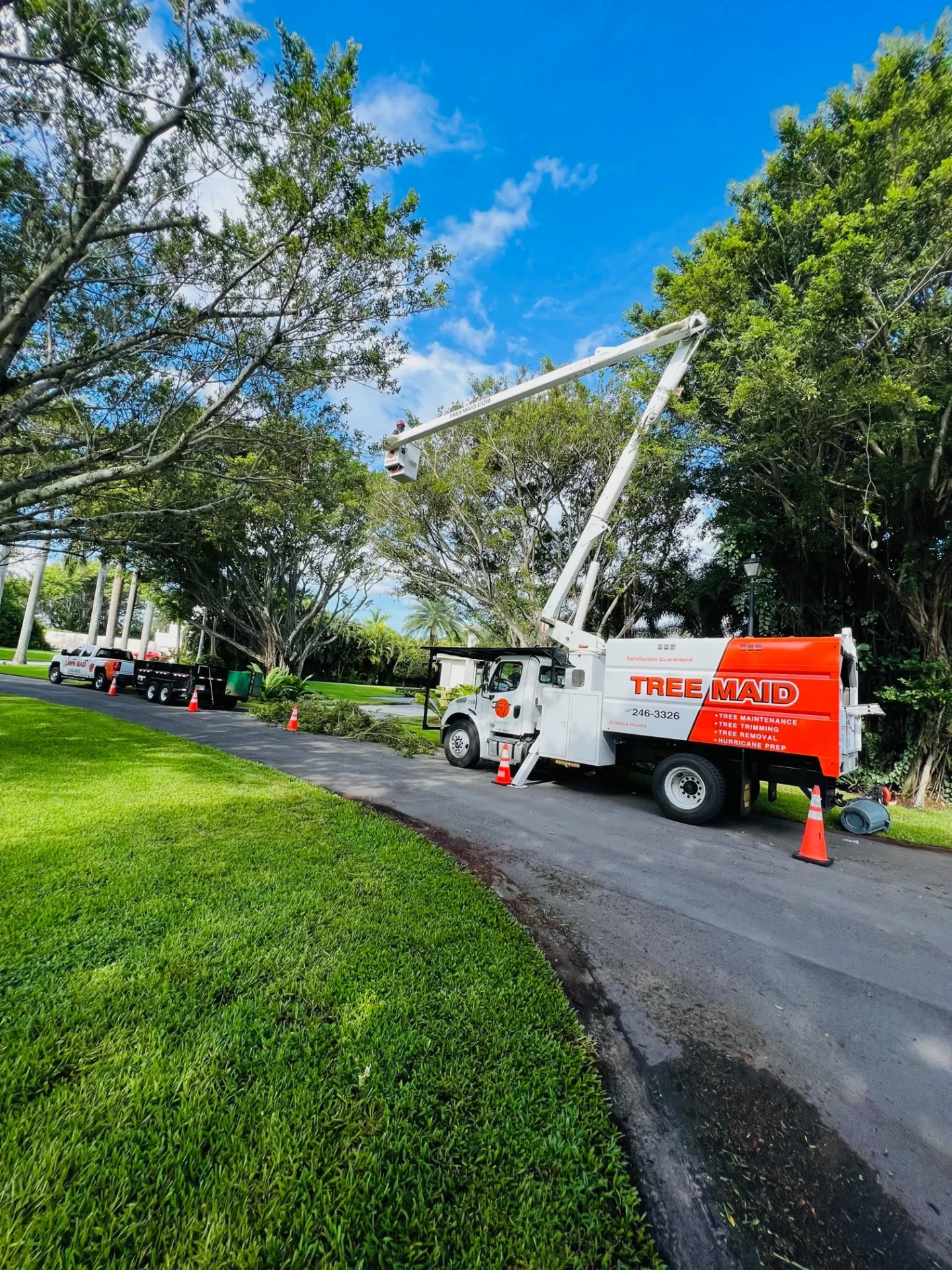 Jobs Gallery | Expert Tree Services, Palm Trimming, & Tree Care in Lake Worth & Palm Beach County | Tree Service | Explore our latest tree service projects in Lake Worth, Boca Raton, Delray Beach, and Palm Beach County. From precision trimming to full tree removal and site cleanup, our skilled tree experts offer precision, safely removing hazards, and helping revitalizing landscapes. Discover the Tree Maid Tree Service Difference! |%org_url%