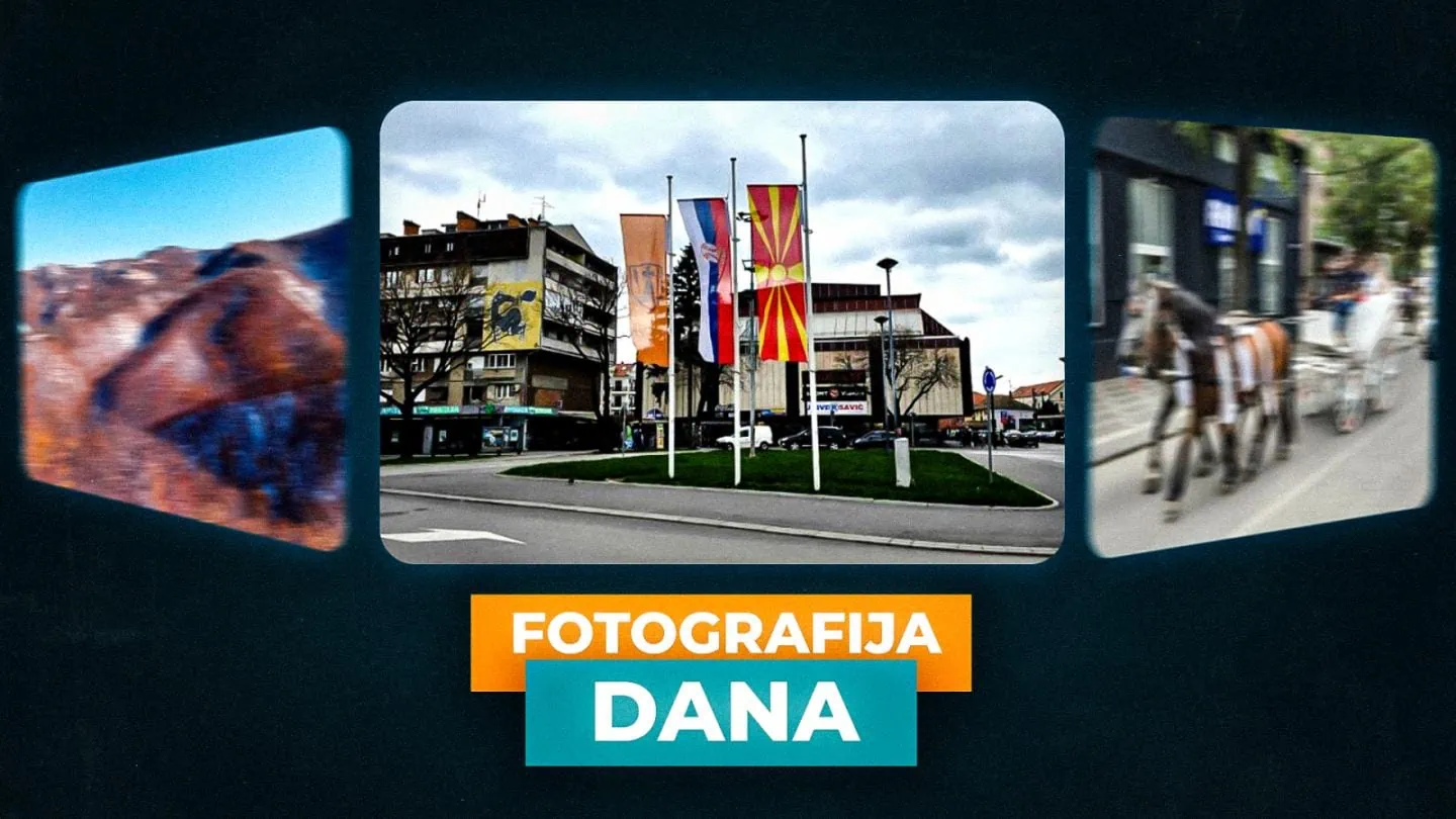 Foto dana