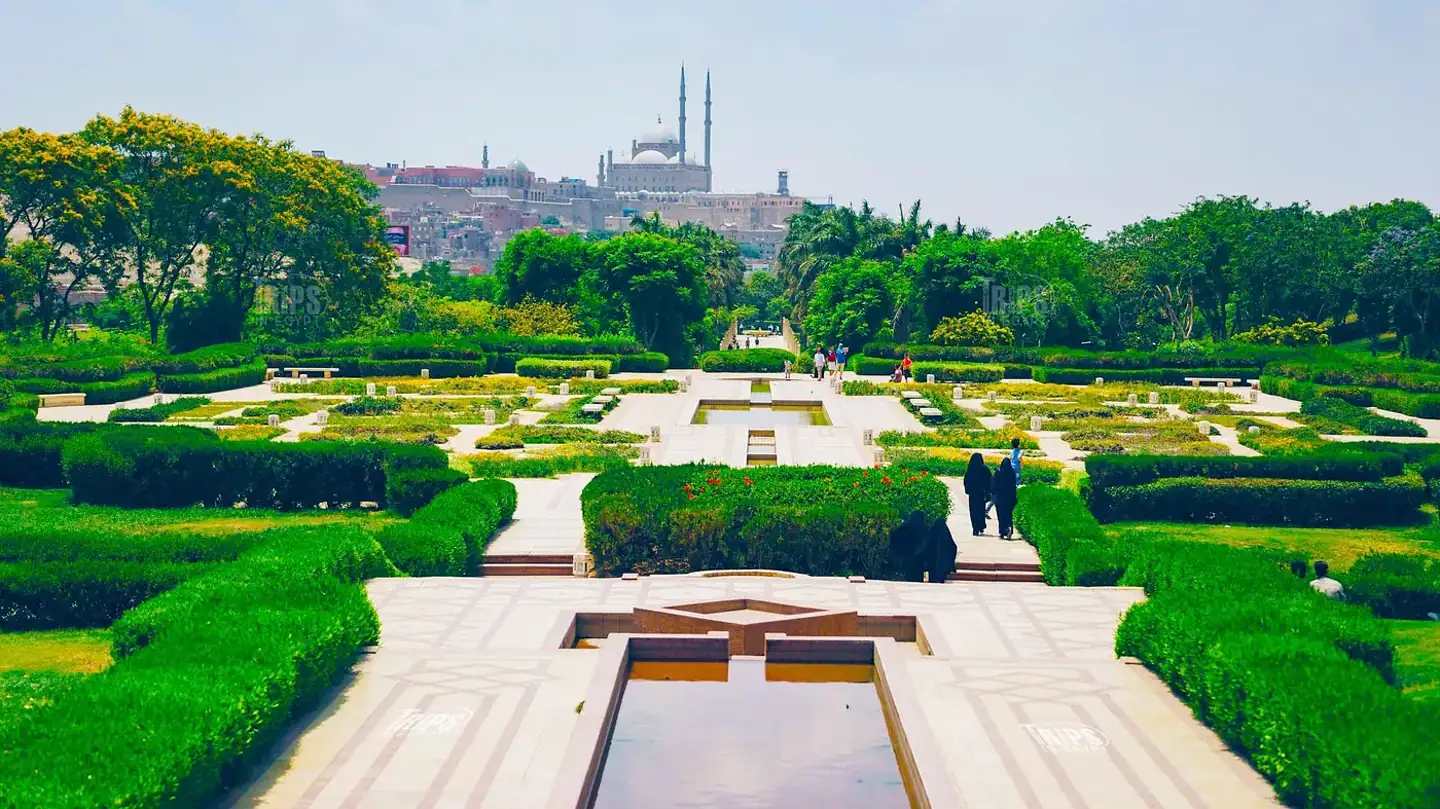 Green gardens overlooking the Citadel and Mohamed Ali Mosque