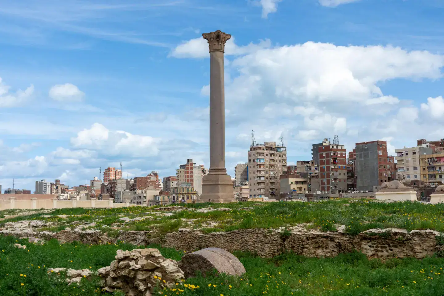 Tall Roman granite column rising above Alexandria’s archaeological landscape