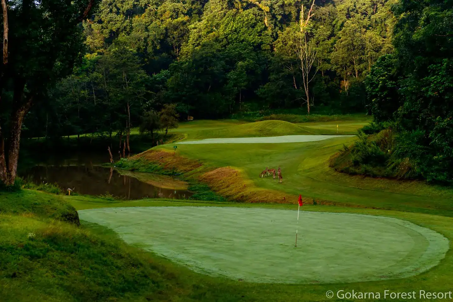 Playing Golf in Nepal: What to Expect