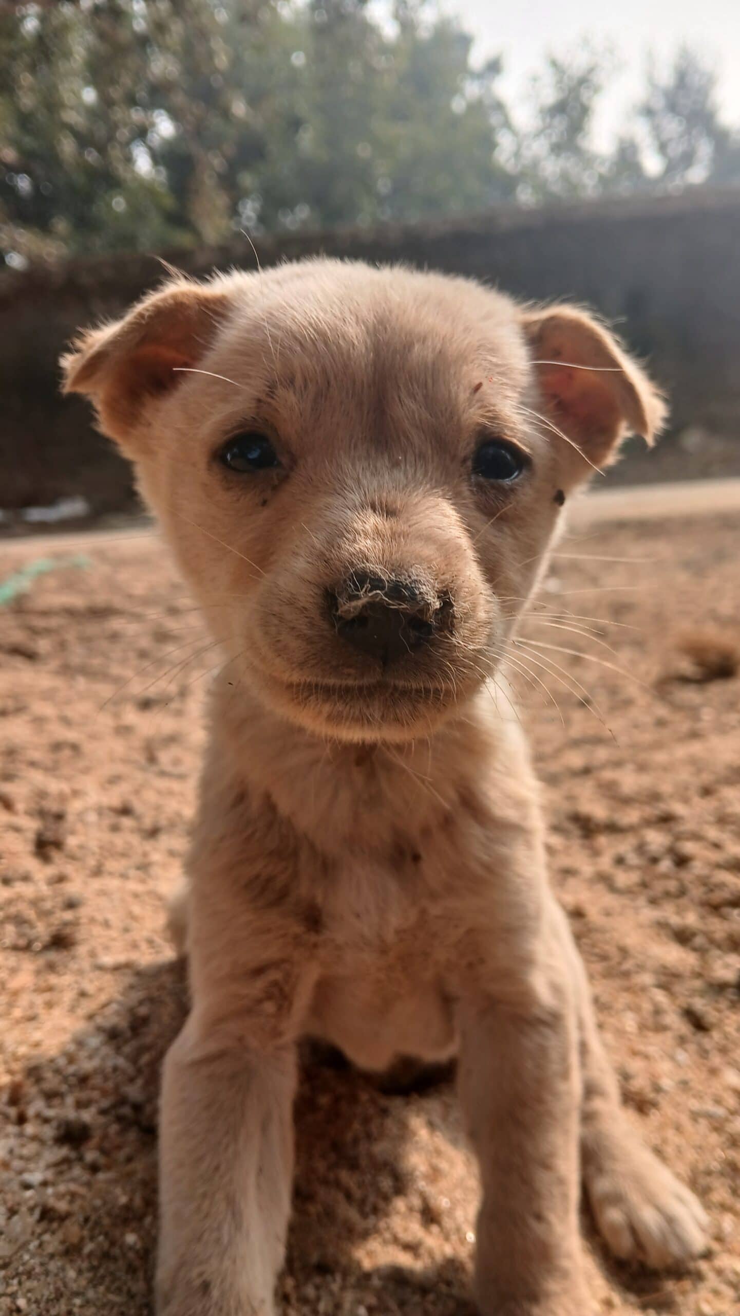 20251212 100804 scaled