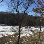 laboratoire d'apidologie en bois massif