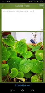 Plantifier zieht Schwarmwissen heran