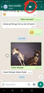 So wird ein Videoanruf mit WhatsApp gestartet - einfach das Kamerasymbol anklicken (Screenshot)