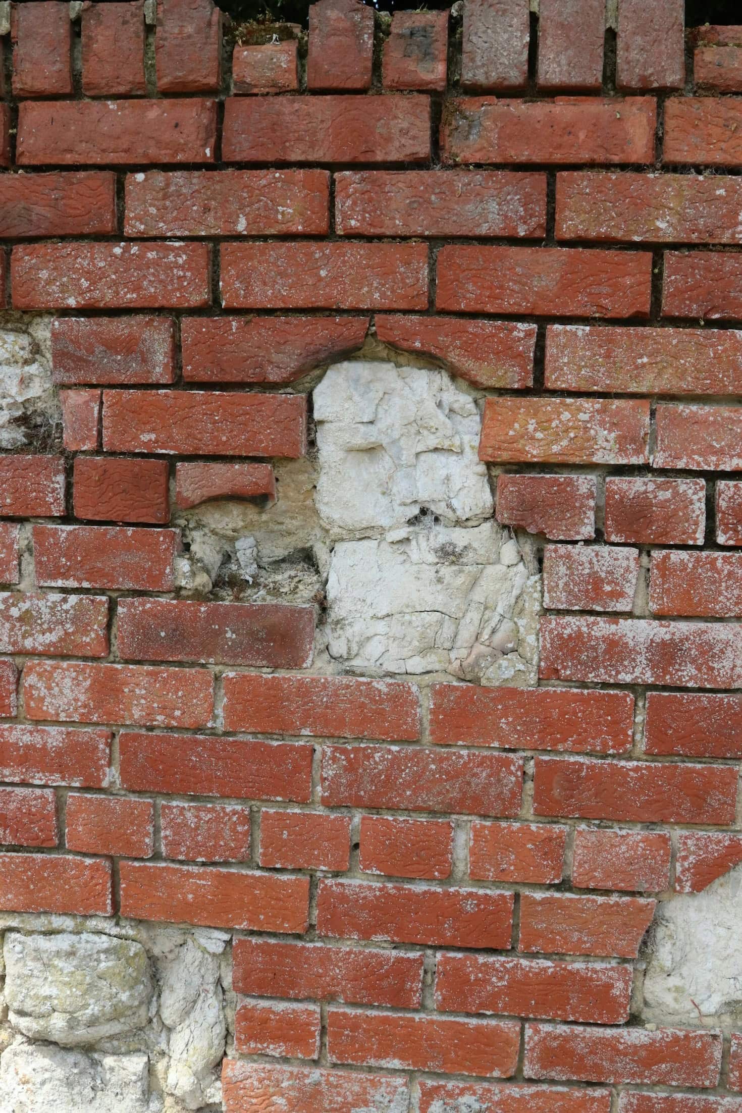 Schimmelbildung: Ursachen und effektive Prävention