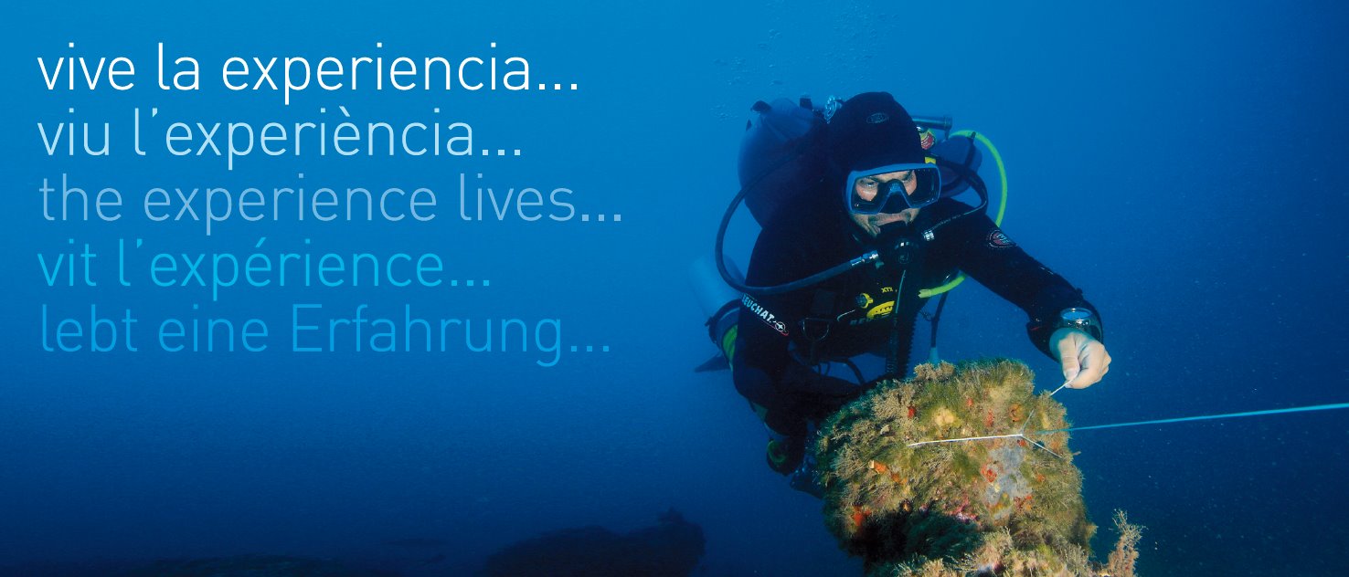 glups diving