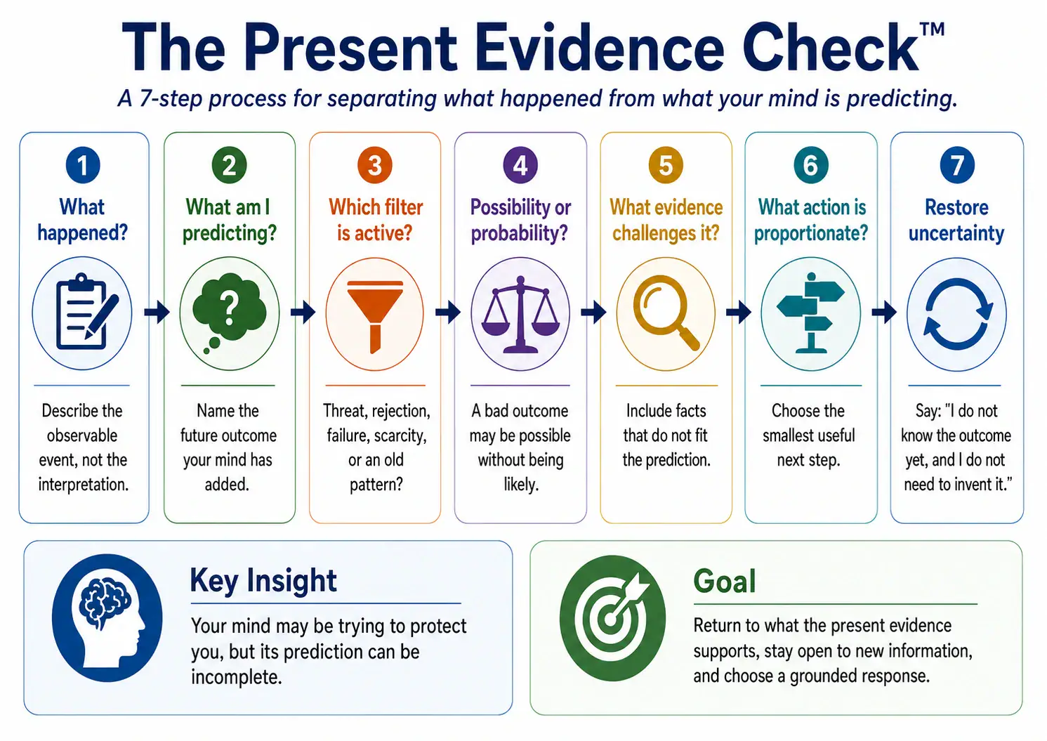 The Present Evidence Check seven-step process separating observable facts from predictions, filters, probability, evidence and proportionate action
