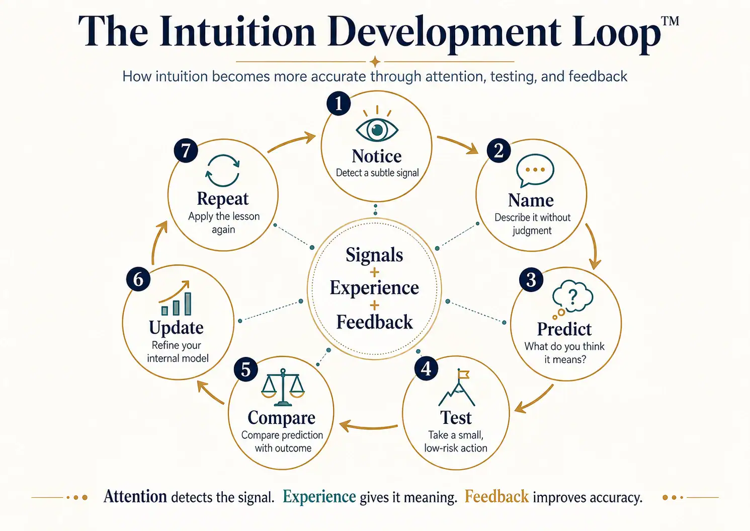 The Intuition Development Loop showing Notice, Name, Predict, Test, Compare, Update, and Repeat.