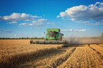 harvesting combine in the field