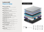 Alpha Beds Kappa Premium Mattress 5