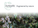 Dunlopillo Meya Pure 3